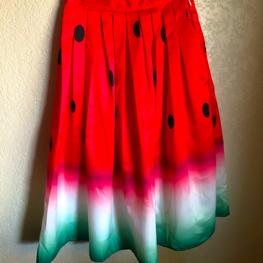 COPY - Chicwish Watermelon 🍉 Skirt. NWT